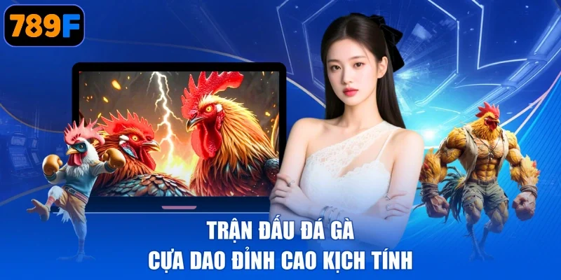 Trận đấu đá gà cựa dao đỉnh cao kịch tính
